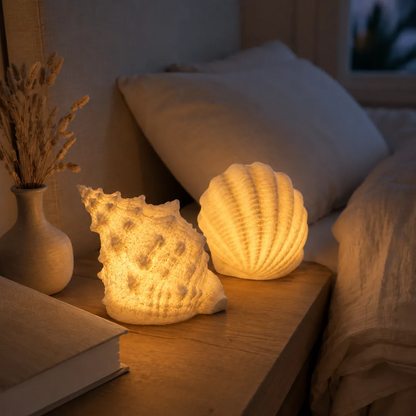 🐚Coastal Afterglow Shell & Conch Light Set
