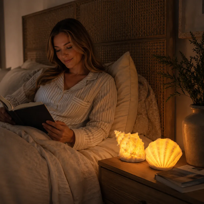 🐚Coastal Afterglow Shell & Conch Light Set