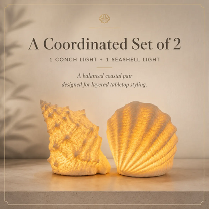 🐚Coastal Afterglow Shell & Conch Light Set