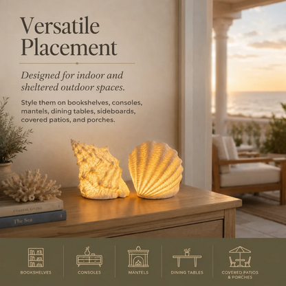 🐚Coastal Afterglow Shell & Conch Light Set