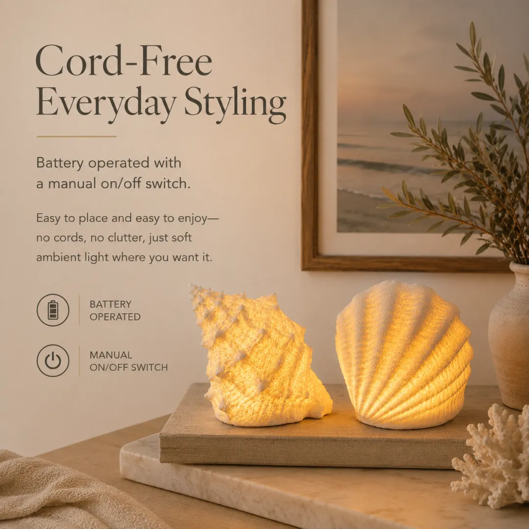 🐚Coastal Afterglow Shell & Conch Light Set