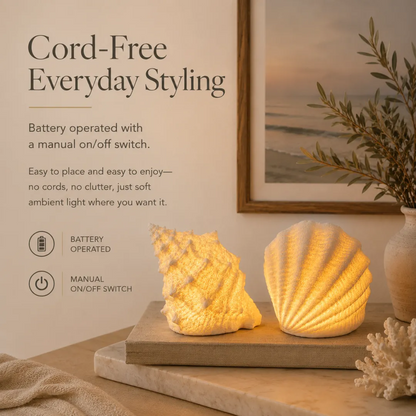 🐚Coastal Afterglow Shell & Conch Light Set