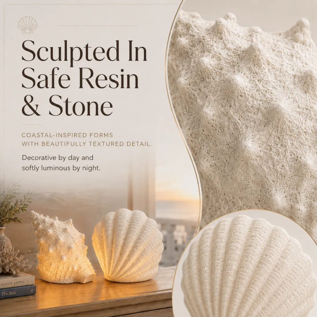 🐚Coastal Afterglow Shell & Conch Light Set