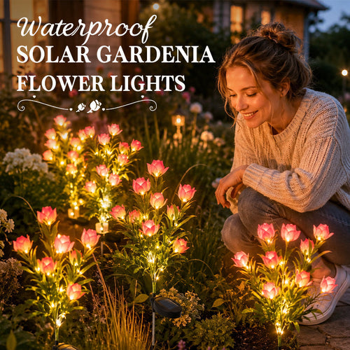 Solar Gardenia Flower Lights 🌸 LED Simulation Flower Lamps for Courtyard & Garden Decoration, Outdoor Waterproof Ambient Lighting