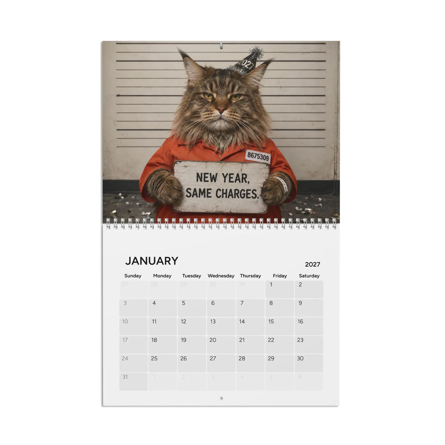 😂Funny Cat Mugshots 2027 Calendar