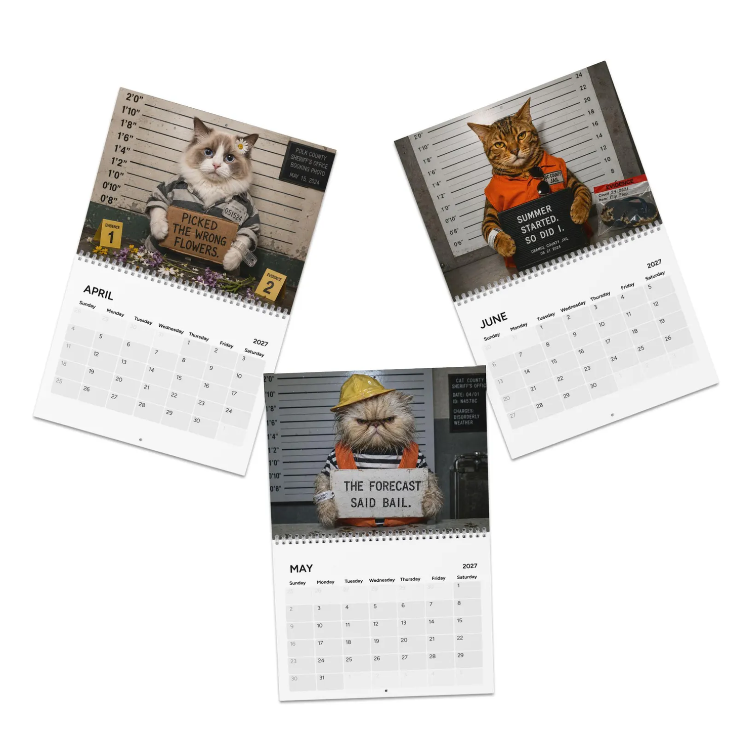 😂Funny Cat Mugshots 2027 Calendar