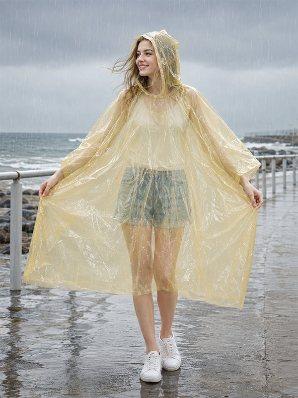 Beach‑Seaside Wanders