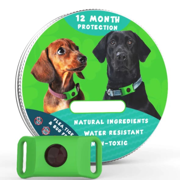 HOT SALE 50% OFF-⭐12 Months Flea and Tick Free