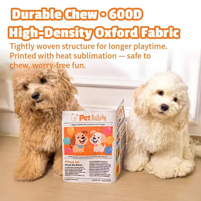 🔥HOT SALE🔥🔥3-Pack Bundle🔥Crinkle Newspaper Dog Toy for Boredom Relief, Interactive Chew Toy for Dogs