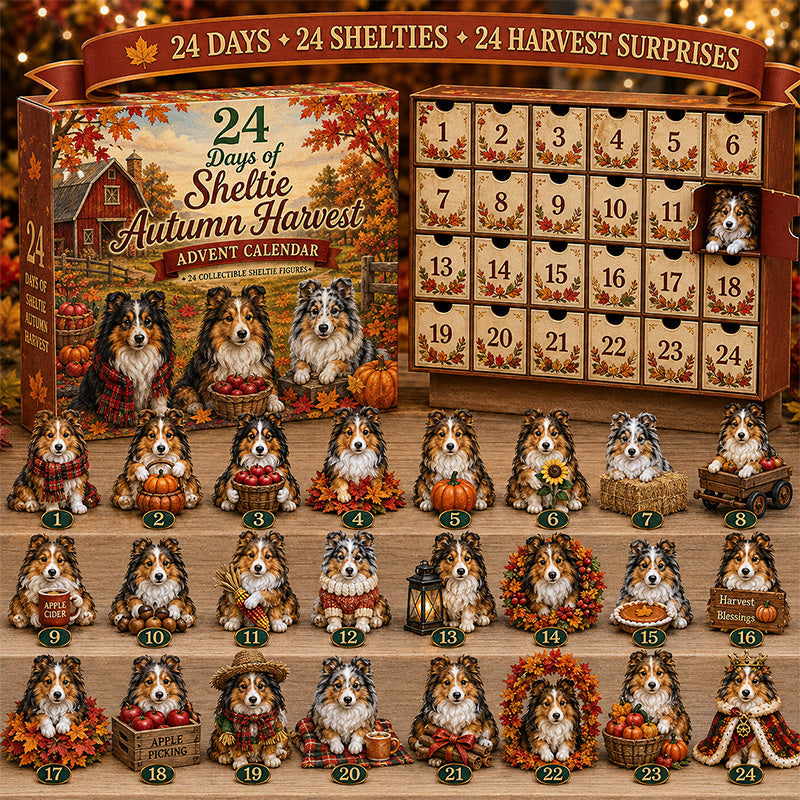 🐕🎄 Shetland Sheepdog Advent Calendar 2026