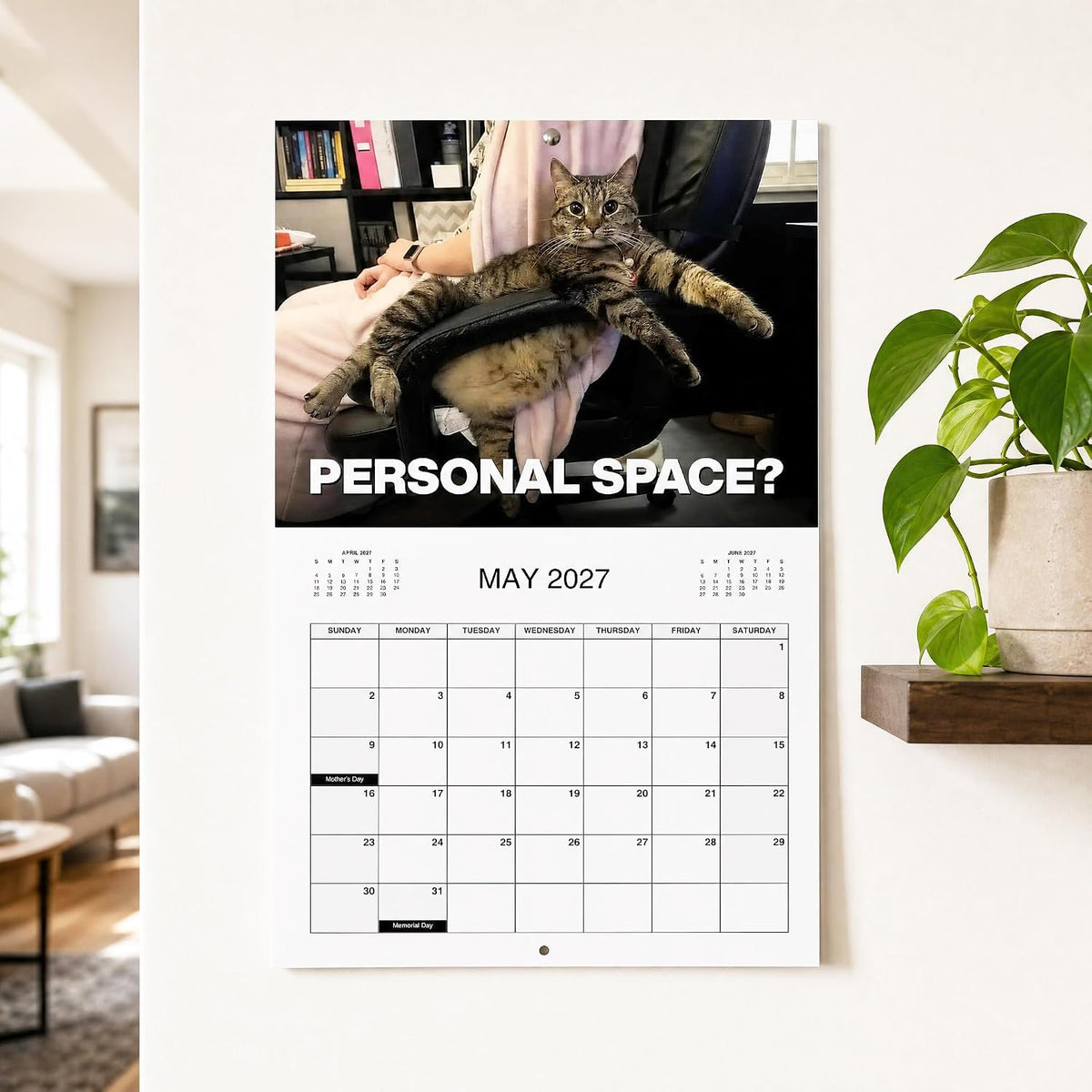 🔥PISSED-OFF CATS 2027 Wall Calendar - Funny Gift for Cat Lovers