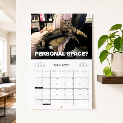 🔥PISSED-OFF CATS 2027 Wall Calendar - Funny Gift for Cat Lovers