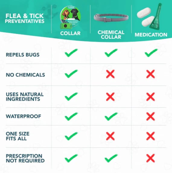 HOT SALE 50% OFF-⭐12 Months Flea and Tick Free
