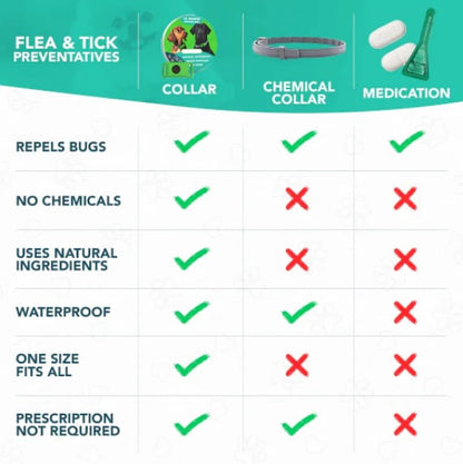 HOT SALE 50% OFF-⭐12 Months Flea and Tick Free