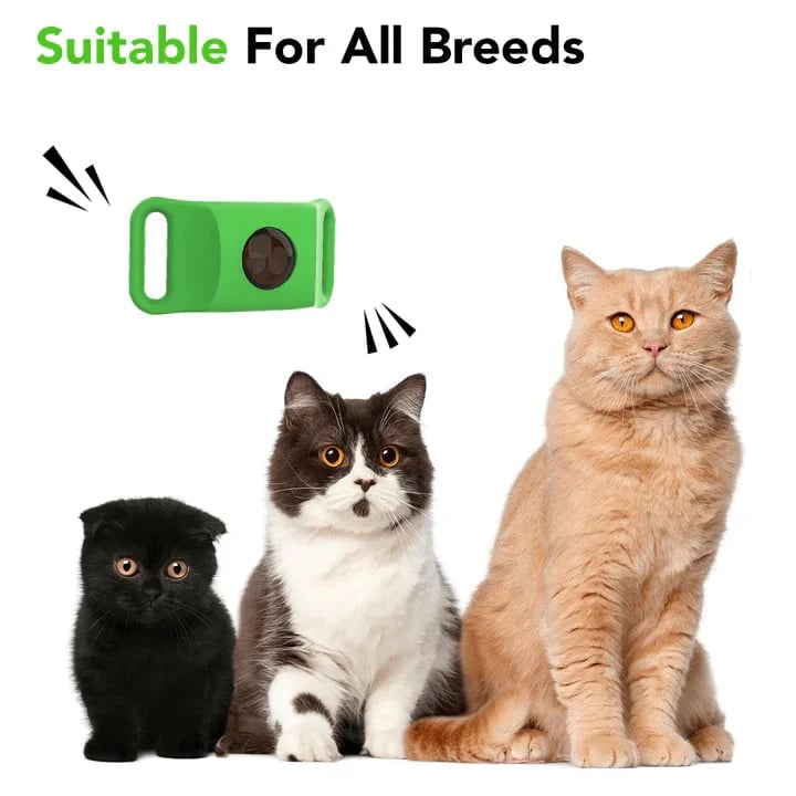 HOT SALE 50% OFF-⭐12 Months Flea and Tick Free