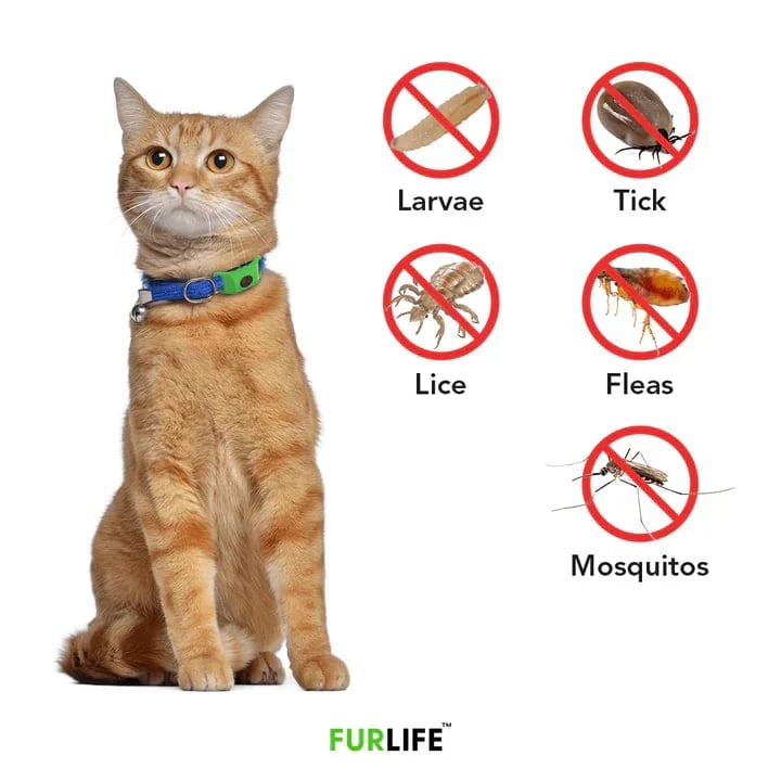HOT SALE 50% OFF-⭐12 Months Flea and Tick Free