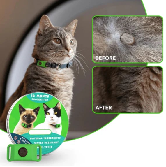 HOT SALE 50% OFF-⭐12 Months Flea and Tick Free