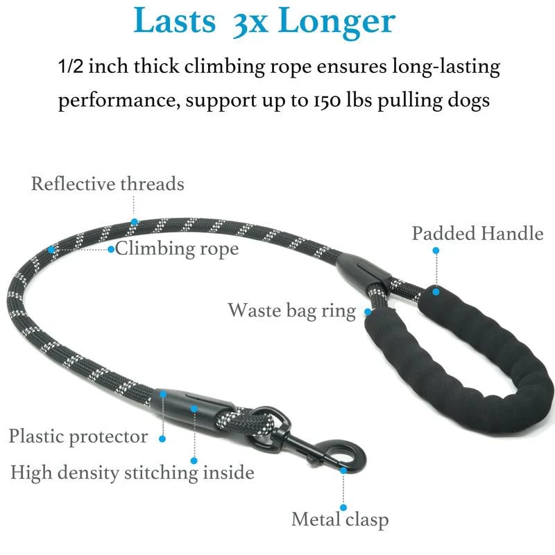 🐕Heavy Duty Dog Leash with Shock Absorbing Bungee