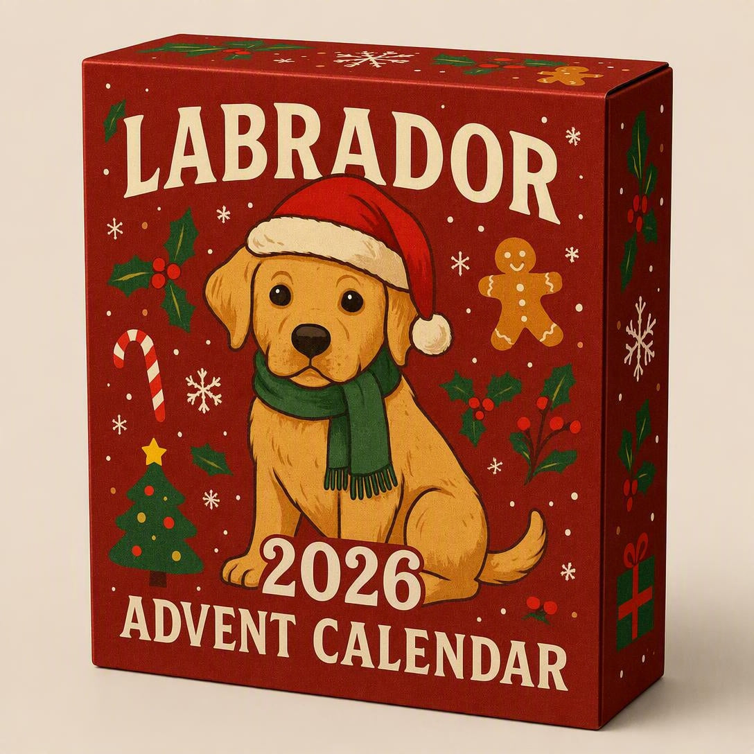 Labrador 2026 Advent Calendar