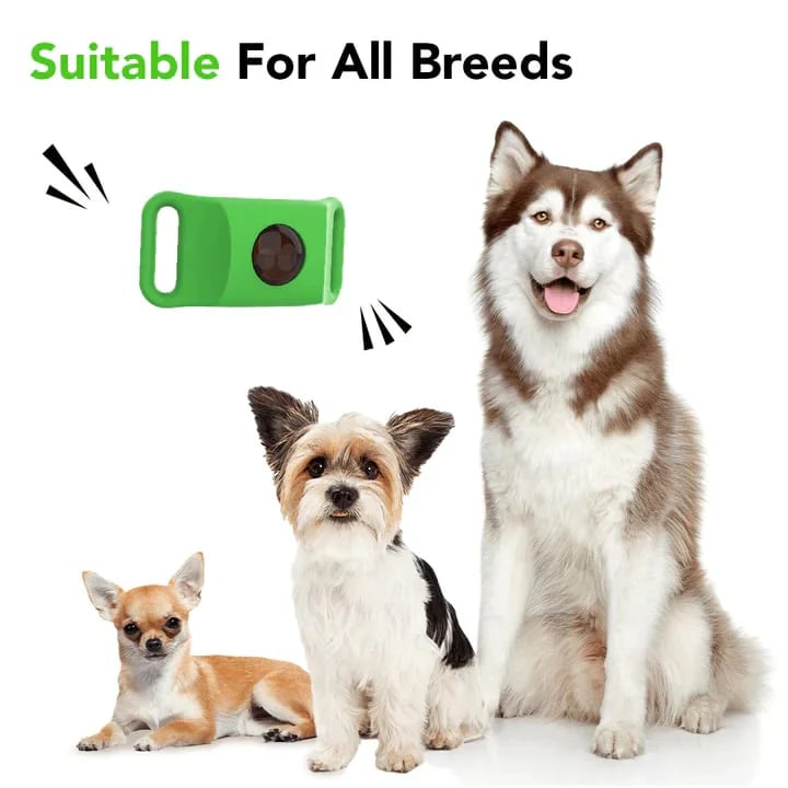HOT SALE 50% OFF-⭐12 Months Flea and Tick Free