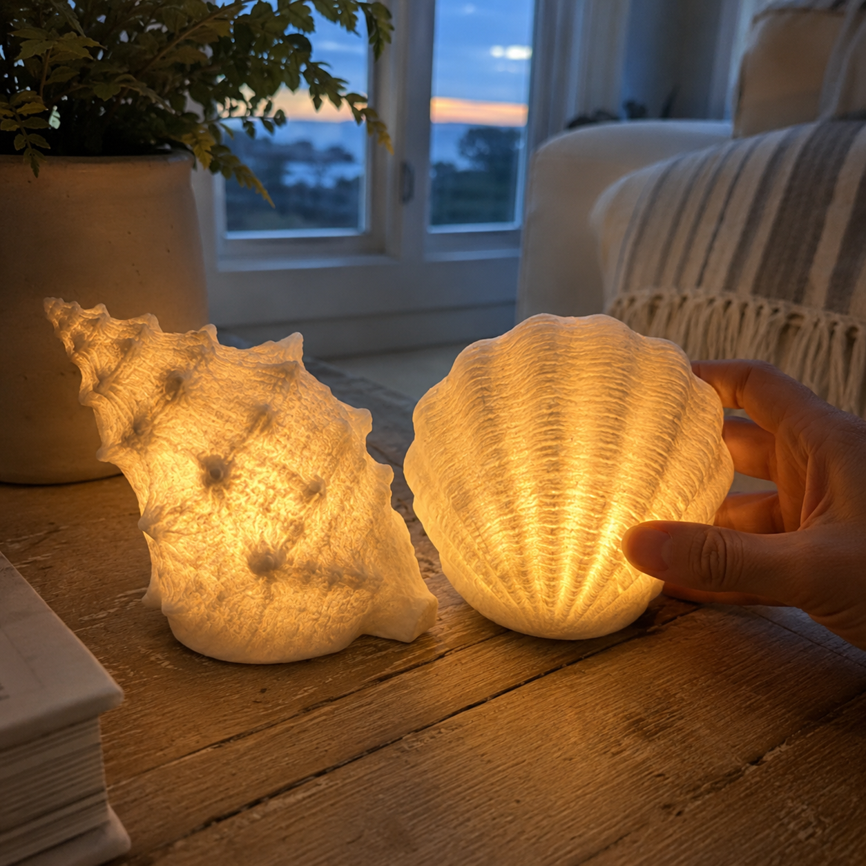 🐚Coastal Afterglow Shell & Conch Light Set
