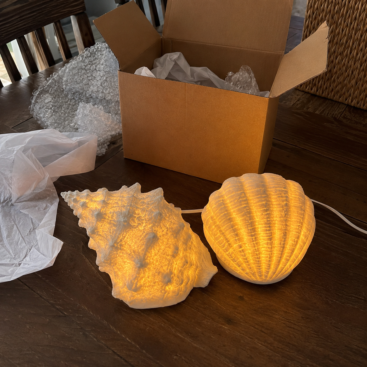 🐚Coastal Afterglow Shell & Conch Light Set