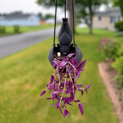 🎁Last Day 49% OFF - Hanging Bat Plant Pot