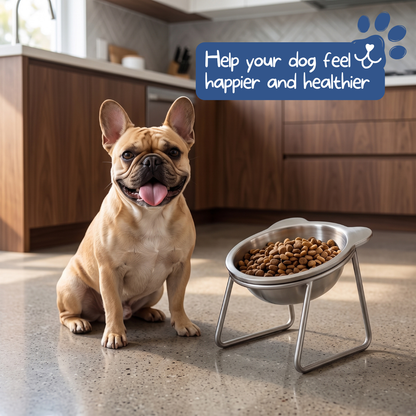 ❄️Summerfresh 50% OFF!🥣15° Tilted Orthopaedic Feeding Bowl