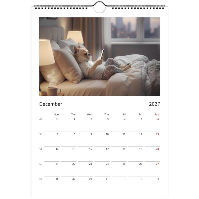 French bulldog Calendar 2027 - Daily Activities