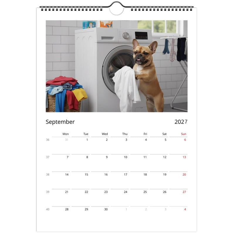French bulldog Calendar 2027 - Daily Activities