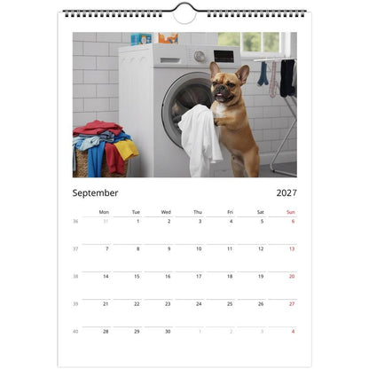French bulldog Calendar 2027 - Daily Activities