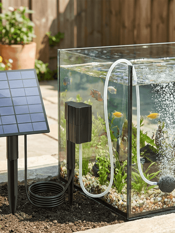 Fish Tanks