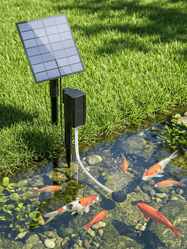 Shallow Breeding Tanks
