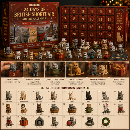 🐾 2026 British Shorthair Christmas Countdown Calendar – A 24-Day Adorable Feline Journey 🎄