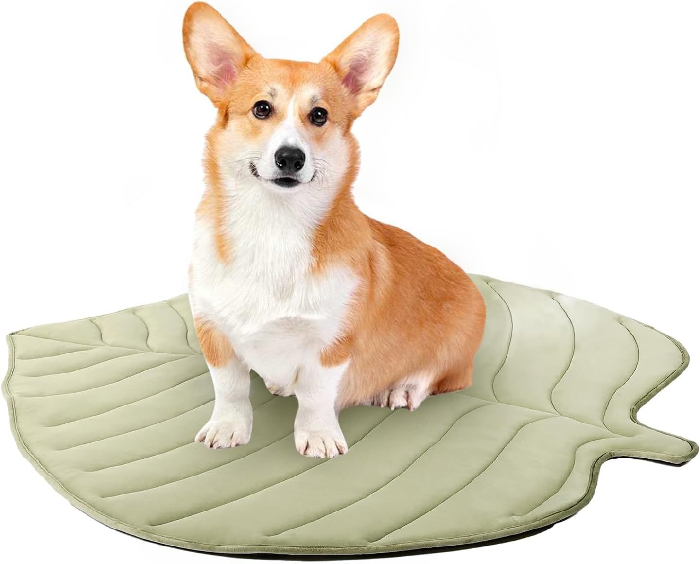 🧊Dog Cooling Mat (4x more effective)