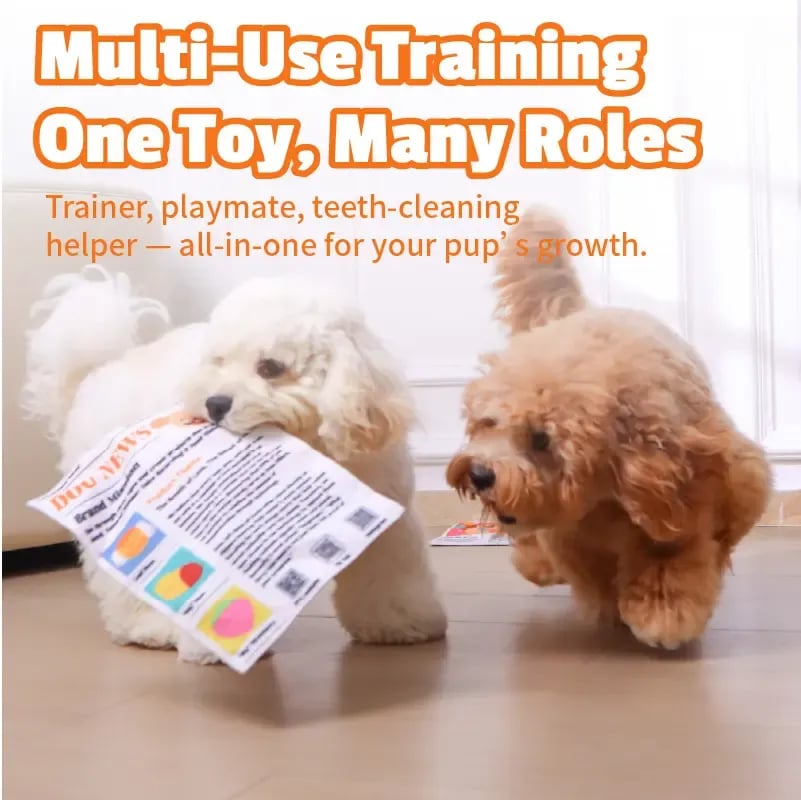 🔥HOT SALE🔥🔥3-Pack Bundle🔥Crinkle Newspaper Dog Toy for Boredom Relief, Interactive Chew Toy for Dogs