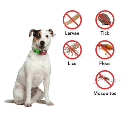 HOT SALE 50% OFF-⭐12 Months Flea and Tick Free