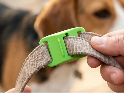 HOT SALE 50% OFF-⭐12 Months Flea and Tick Free