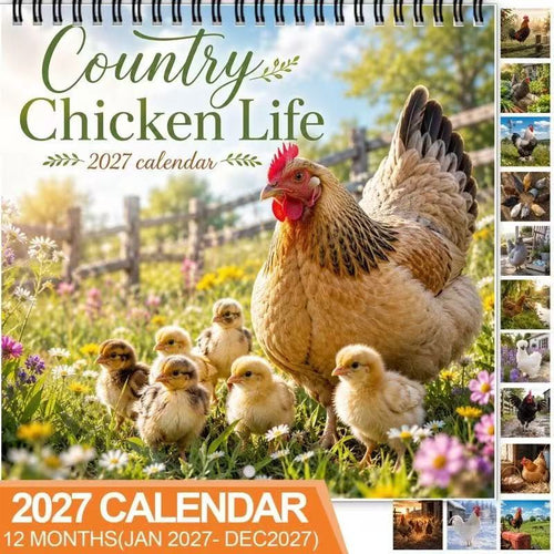2027 Country Chicken Life Wall Calendar – 12 Months of Hens, Chicks & Countryside Charm