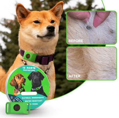 HOT SALE 50% OFF-⭐12 Months Flea and Tick Free