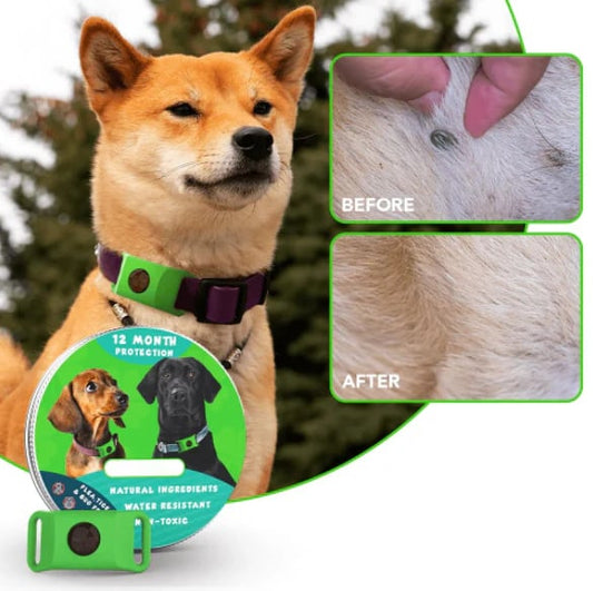 HOT SALE 50% OFF-⭐12 Months Flea and Tick Free