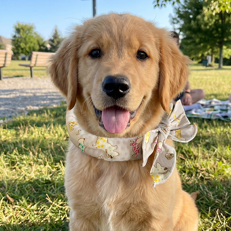 📢📢BUY 1 GET 1 FREE !! ⏰Summer Pet Cooling Collar Wrap