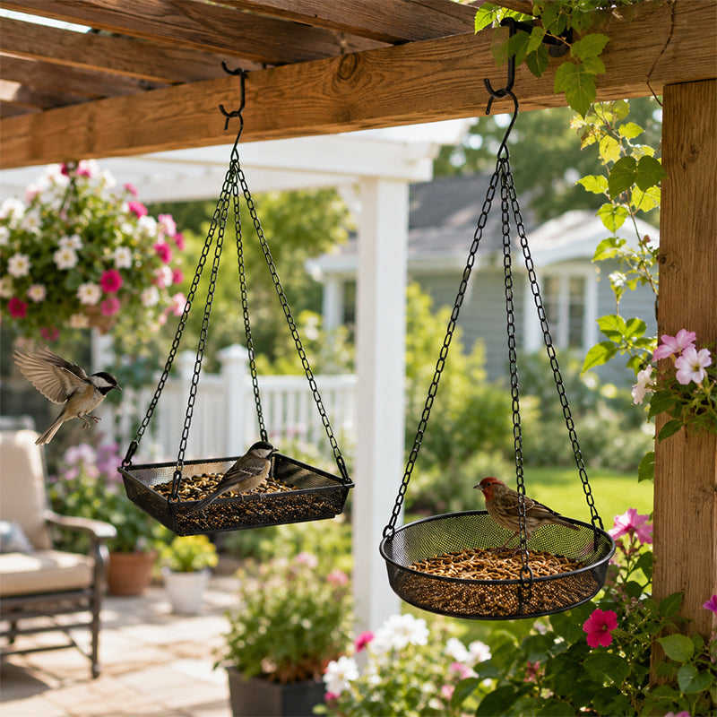 🐦🌾 50% OFF! 🌿 Hanging Bird Feeder Tray