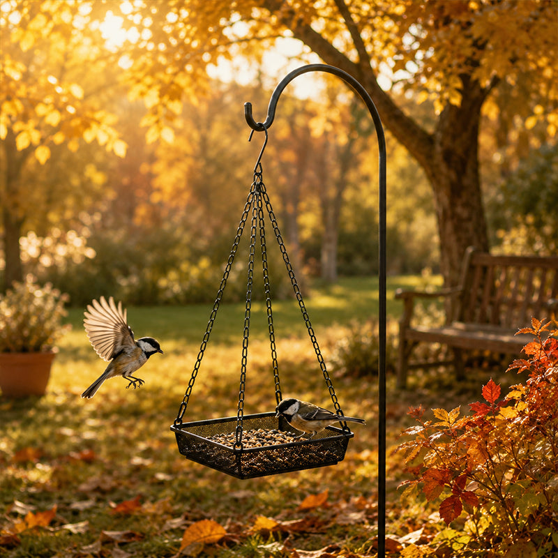 🐦🌾 50% OFF! 🌿 Hanging Bird Feeder Tray