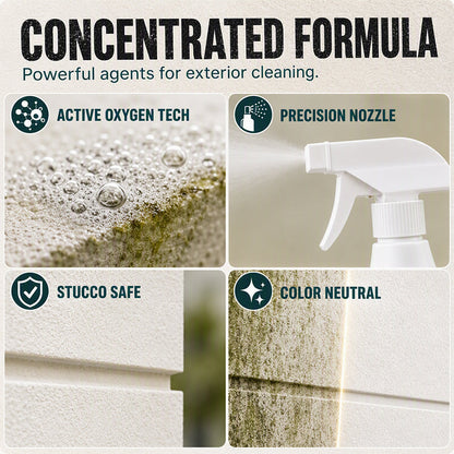 Fast-Acting Wall Mold Remover Spray