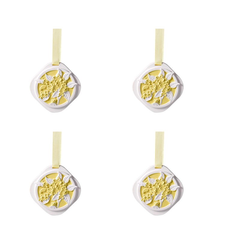 Long-Lasting Hanging Gypsum Scent Tablet